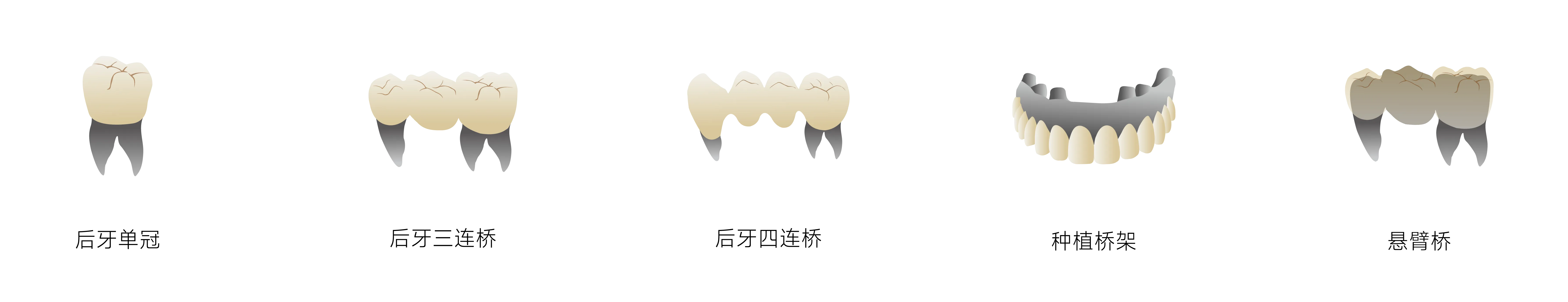 瓷倍健ST-ML_畫板 1 副本 3.webp