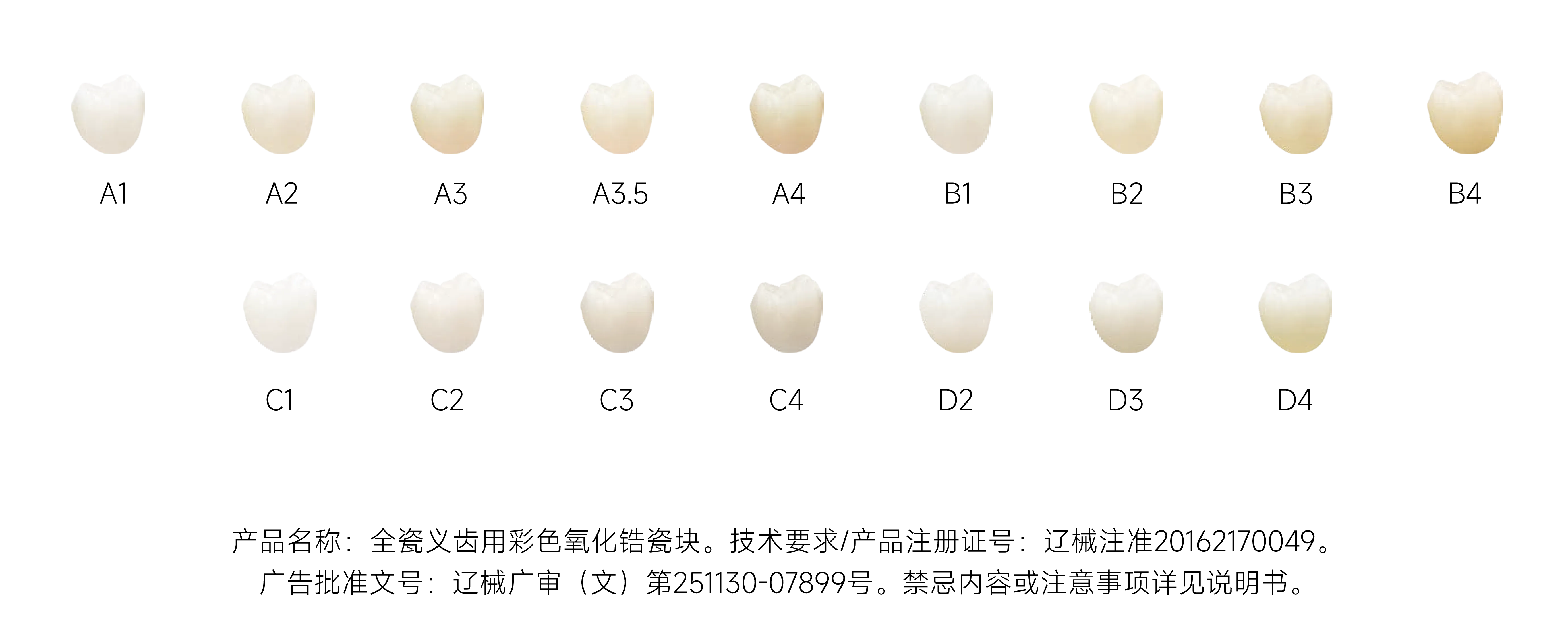 瓷倍健ST-ML_畫板 1 副本 5.webp