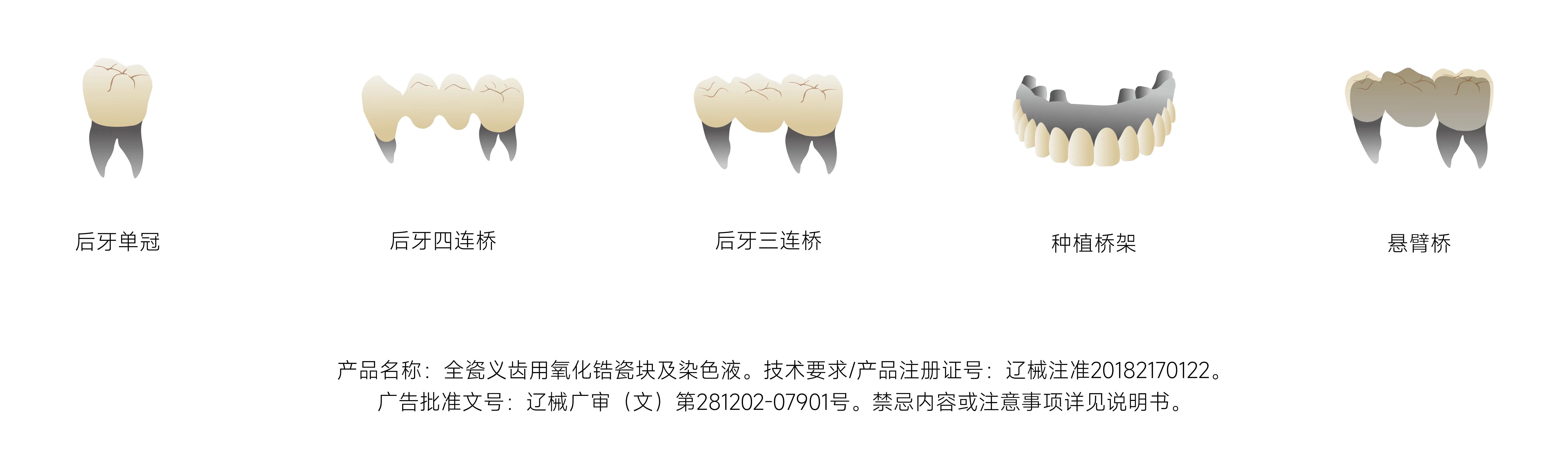 瓷倍健ST_畫(huà)板 1 副本 3.webp
