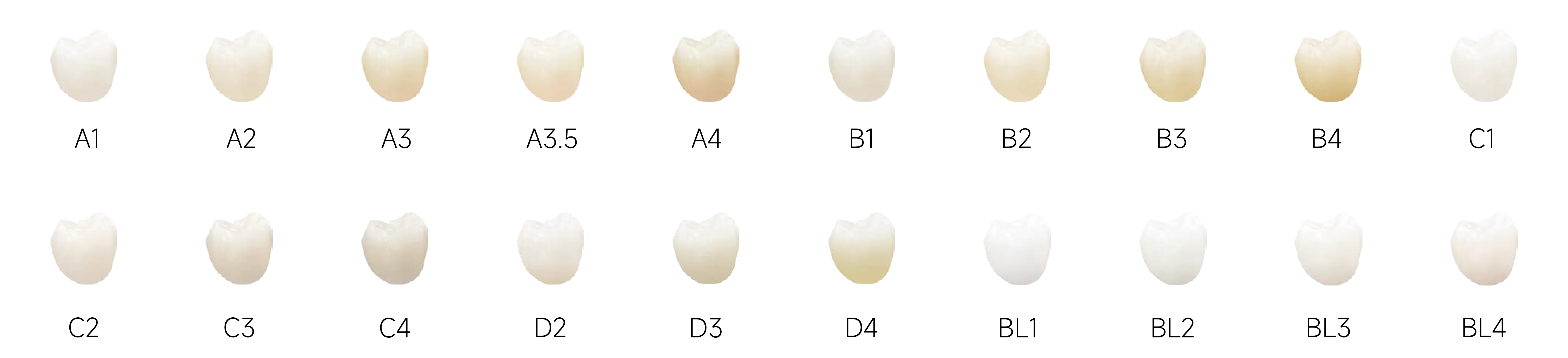 魅影全能_畫板 1 副本 5 拷貝.webp